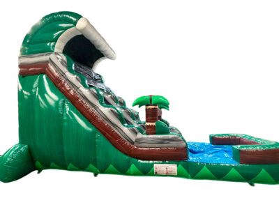 Tobogán palmeras con piscina