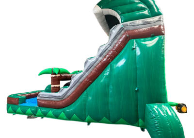 Tobogán palmeras con piscina
