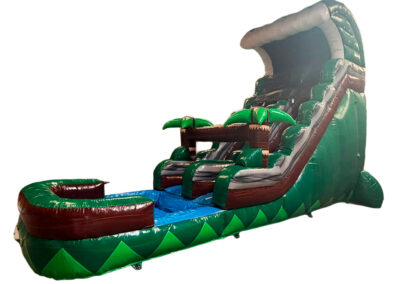 Tobogán palmeras con piscina