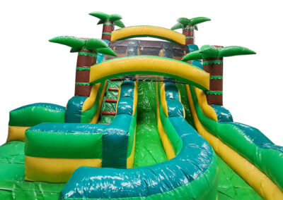Tobogán palmeras con piscina