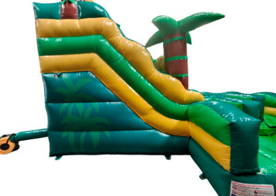 Tobogán palmeras con piscina
